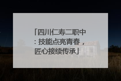 四川仁寿二职中：技能点亮青春，匠心接续传承