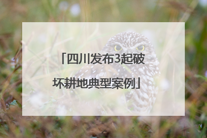 四川发布3起破坏耕地典型案例