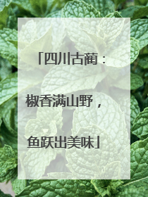 四川古蔺：椒香满山野，鱼跃出美味