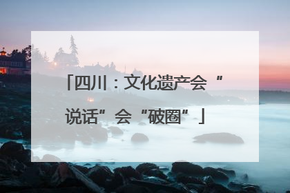 四川：文化遗产会“说话”会“破圈”