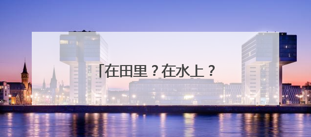 在田里？在水上？瑜伽还能这样练