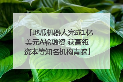 地瓜机器人完成1亿美元A轮融资 获高瓴资本等知名机构青睐
