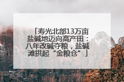 寿光北部13万亩盐碱地迈向高产田：八年改碱夺粮，盐碱滩拱起“金粮仓”