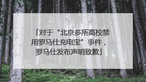 对于“北京多所高校禁用罗马仕充电宝”事件，罗马仕发布声明致歉