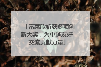 富莱欣斩获多项创新大奖，为中越友好交流贡献力量