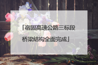 宿固高速公路三标段桥梁结构全面完成