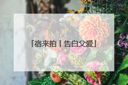 宿来拍丨告白父爱