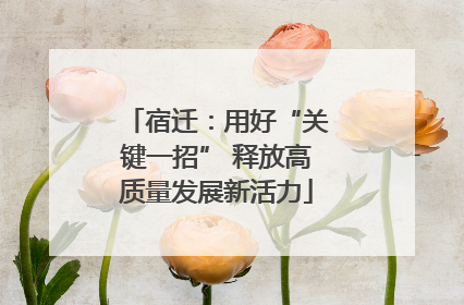 宿迁：用好“关键一招” 释放高质量发展新活力
