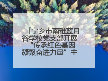 宁乡市南雅蓝月谷学校党支部开展“传承红色基因 凝聚奋进力量”主题党日活动