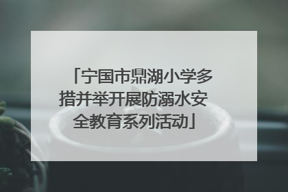 宁国市鼎湖小学多措并举开展防溺水安全教育系列活动