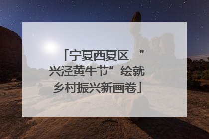 宁夏西夏区 “兴泾黄牛节”绘就乡村振兴新画卷