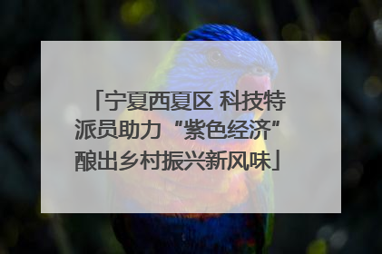 宁夏西夏区 科技特派员助力“紫色经济”酿出乡村振兴新风味