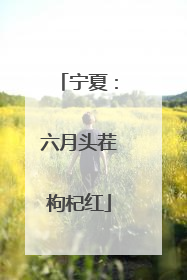 宁夏：六月头茬枸杞红