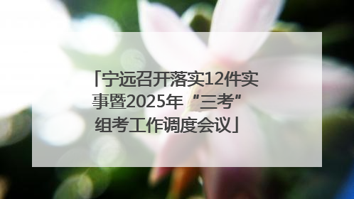 宁远召开落实12件实事暨2025年“三考”组考工作调度会议