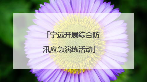 宁远开展综合防汛应急演练活动