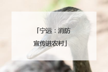 宁远：消防宣传进农村