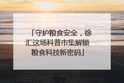 守护粮食安全，徐汇这场科普市集解锁粮食科技新密码