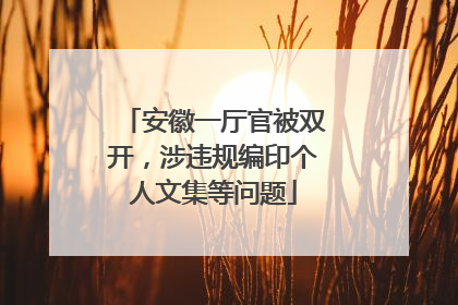 安徽一厅官被双开，涉违规编印个人文集等问题
