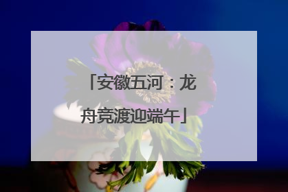 安徽五河：龙舟竞渡迎端午
