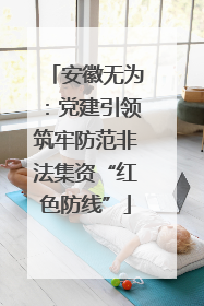 安徽无为：党建引领筑牢防范非法集资“红色防线”