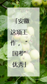 安徽这项工作，“国考”优秀
