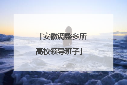 安徽调整多所高校领导班子