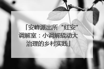 安峰派出所“红安”调解室：小调解撬动大治理的乡村实践