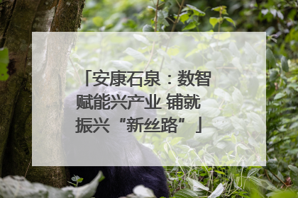 安康石泉：数智赋能兴产业 铺就振兴“新丝路”
