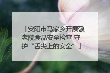 安阳市马家乡开展敬老院食品安全检查 守护“舌尖上的安全”