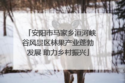 安阳市马家乡洹河峡谷风景区林果产业蓬勃发展 助力乡村振兴