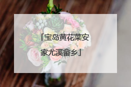 宝岛黄花菜安家尤溪畲乡