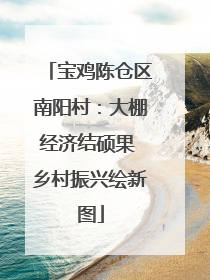 宝鸡陈仓区南阳村：大棚经济结硕果 乡村振兴绘新图