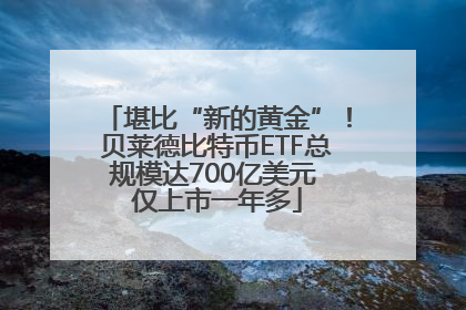 堪比“新的黄金”！贝莱德比特币ETF总规模达700亿美元 仅上市一年多