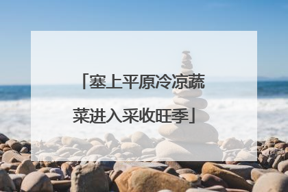 塞上平原冷凉蔬菜进入采收旺季