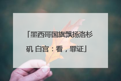 墨西哥国旗飘扬洛杉矶 白宫：看，罪证