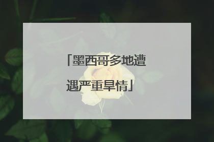 墨西哥多地遭遇严重旱情