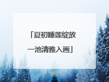 夏初睡莲绽放 一池清雅入画