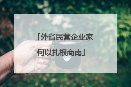 外省民营企业家何以扎根商南