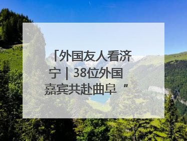 外国友人看济宁｜38位外国嘉宾共赴曲阜“文化之约”
