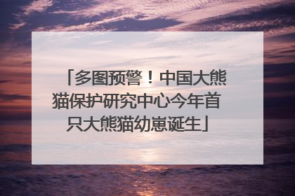 多图预警！中国大熊猫保护研究中心今年首只大熊猫幼崽诞生