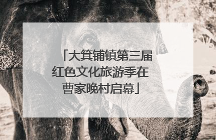 大箕铺镇第三届红色文化旅游季在曹家晚村启幕