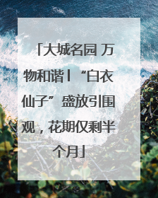 大城名园 万物和谐│“白衣仙子”盛放引围观，花期仅剩半个月