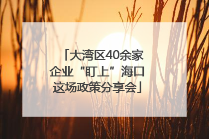 大湾区40余家企业“盯上”海口这场政策分享会