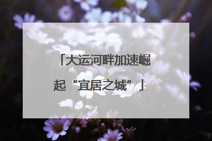 大运河畔加速崛起“宜居之城”