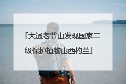 大通老爷山发现国家二级保护植物山西杓兰