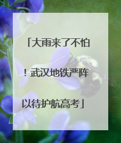 大雨来了不怕！武汉地铁严阵以待护航高考