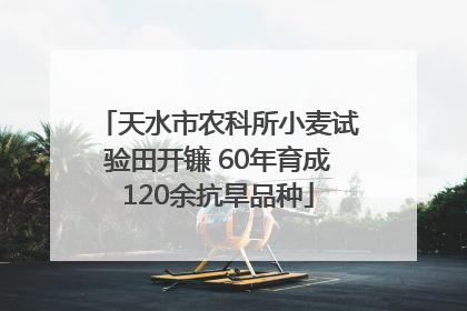天水市农科所小麦试验田开镰 60年育成120余抗旱品种
