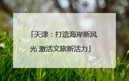 天津：打造海岸新风光 激活文旅新活力