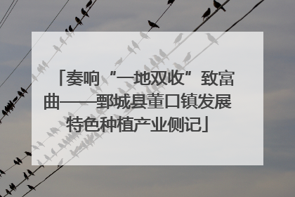 奏响“一地双收”致富曲——鄄城县董口镇发展特色种植产业侧记
