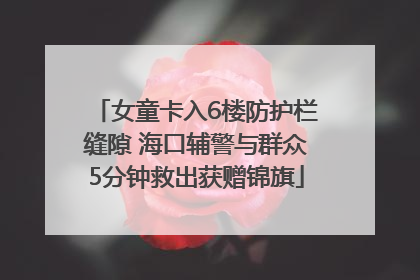 女童卡入6楼防护栏缝隙 海口辅警与群众5分钟救出获赠锦旗